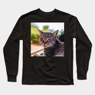 Portrait of tabby cat Long Sleeve T-Shirt